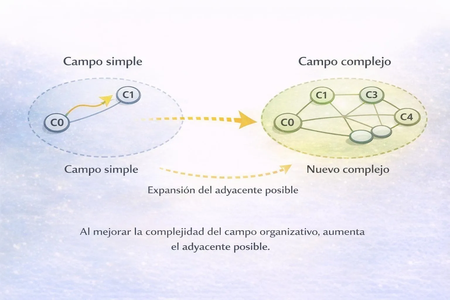 E³ Módulo 6 – Cambio topológico y crecimiento